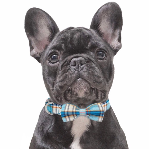Dog Collar Bow Tie Blue Plaid NEW - Picture 2 of 14